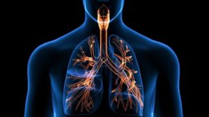 reapiratory